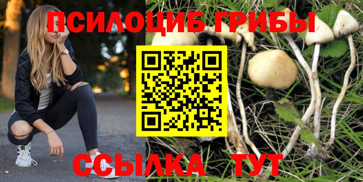 Галлюциногенные грибы прущие грибы Черногорск